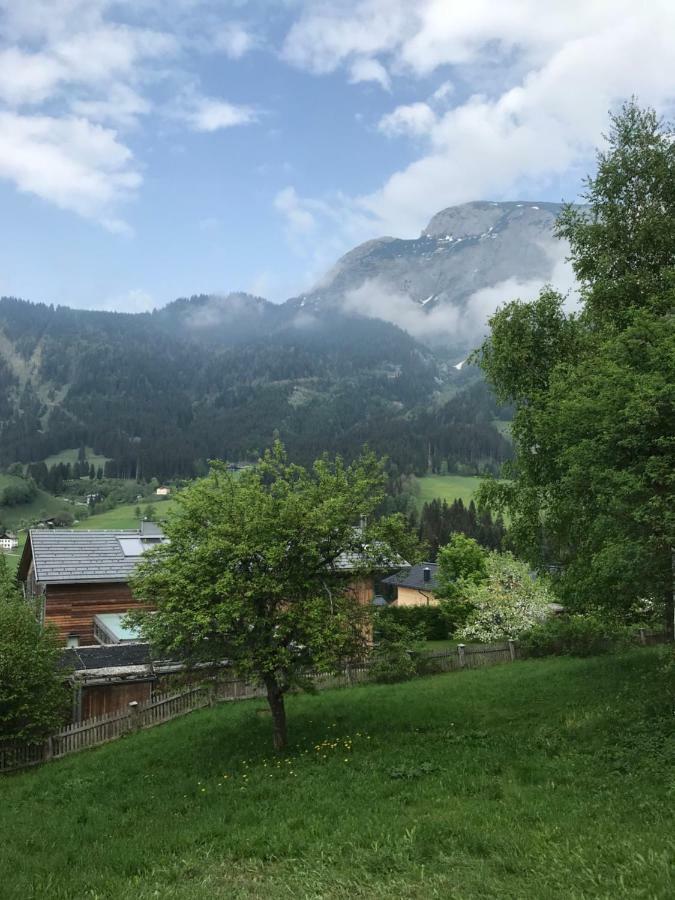 Steuer 59 App 5 Apartment Annaberg im Lammertal Exterior photo